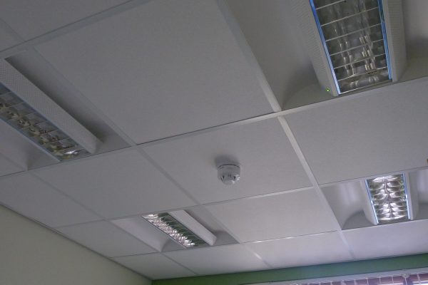 P1010230 P1010230